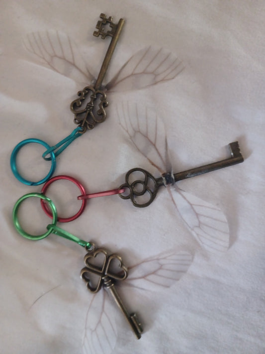 key ring w/ skeleton key & wings, design varies