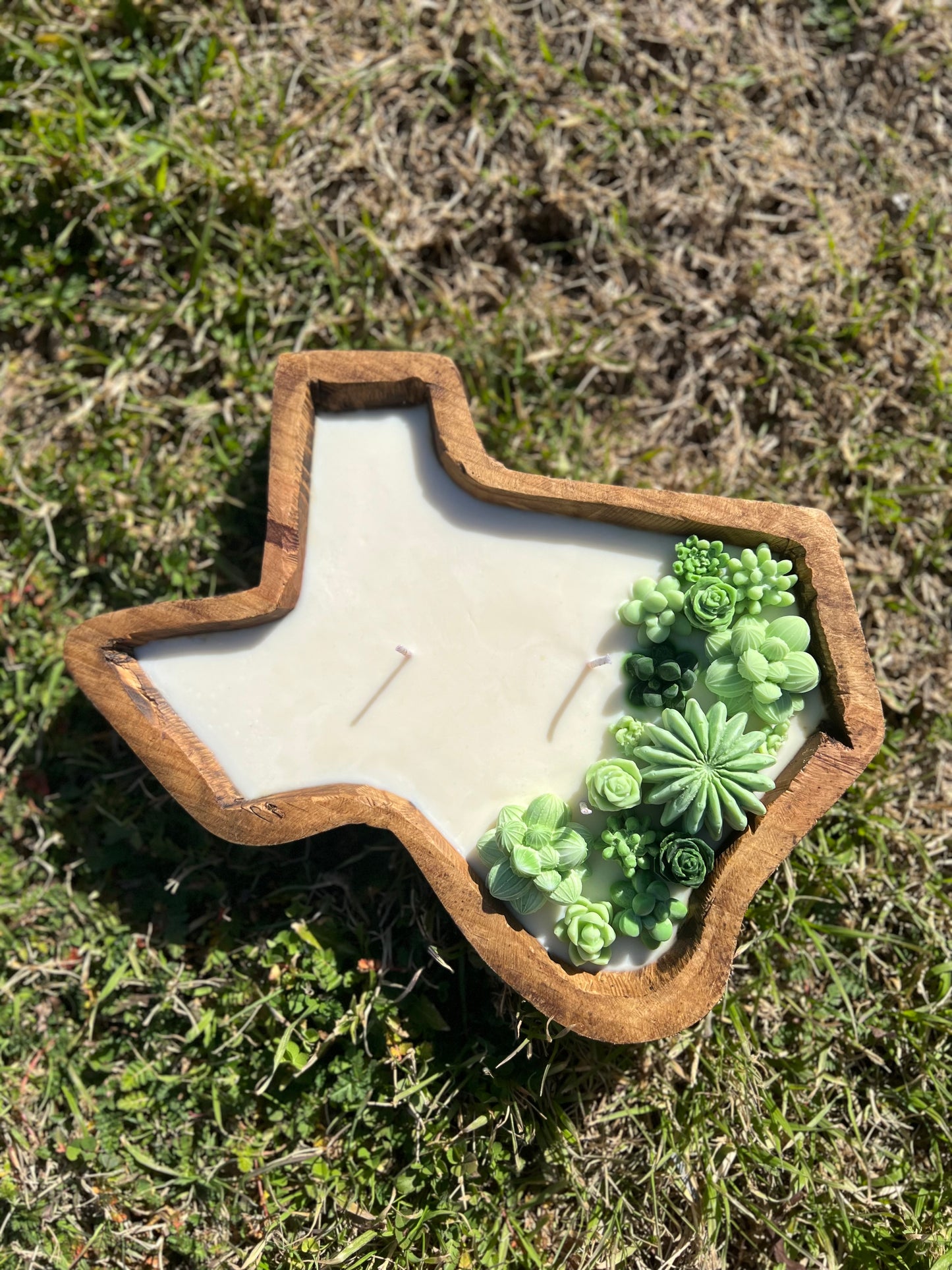 Texas Succulent Candle