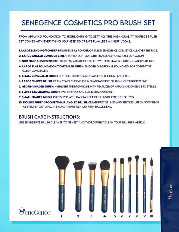 Pro Brush Collection in Bag