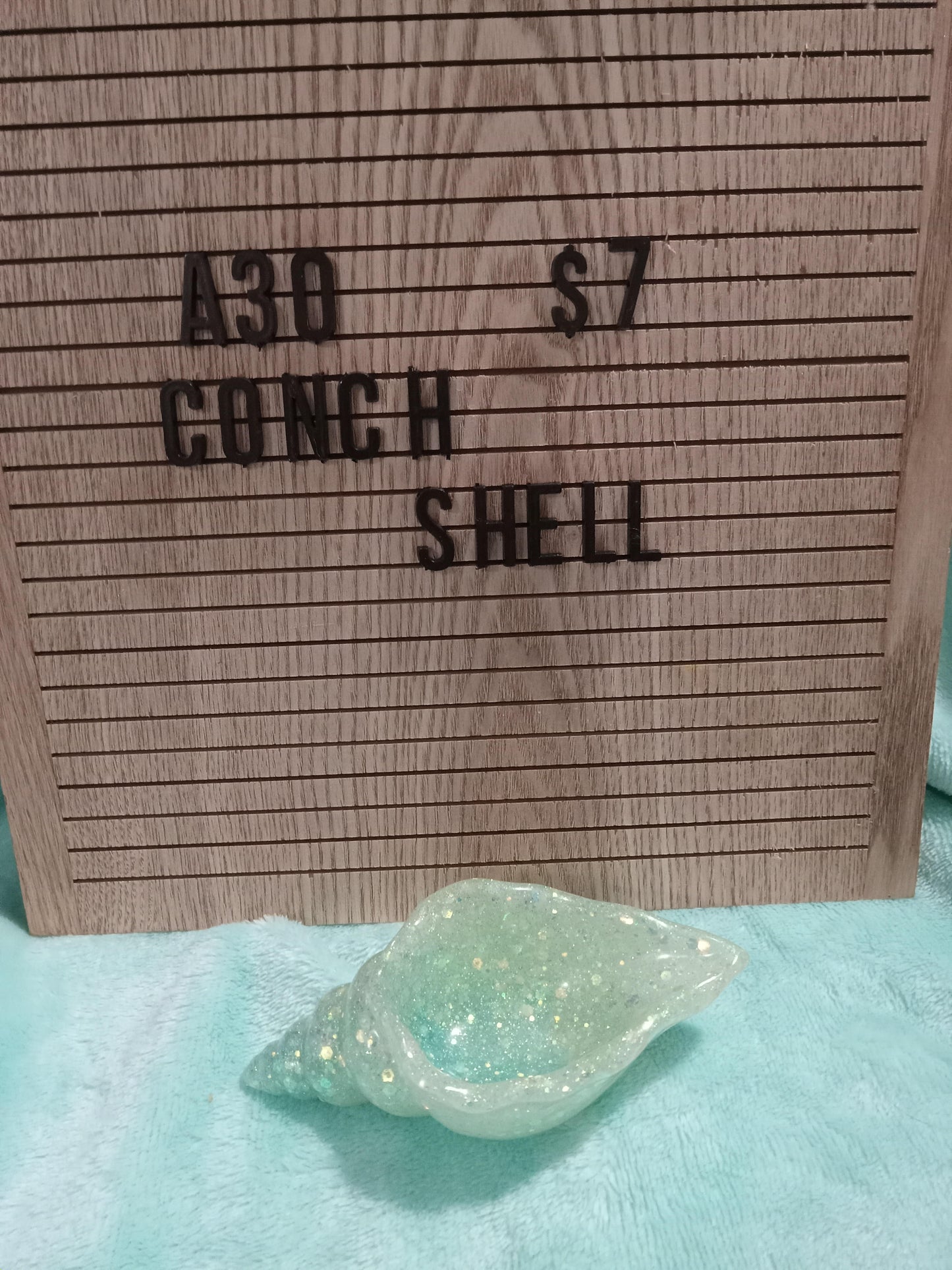 Resin Conch Shell Dish