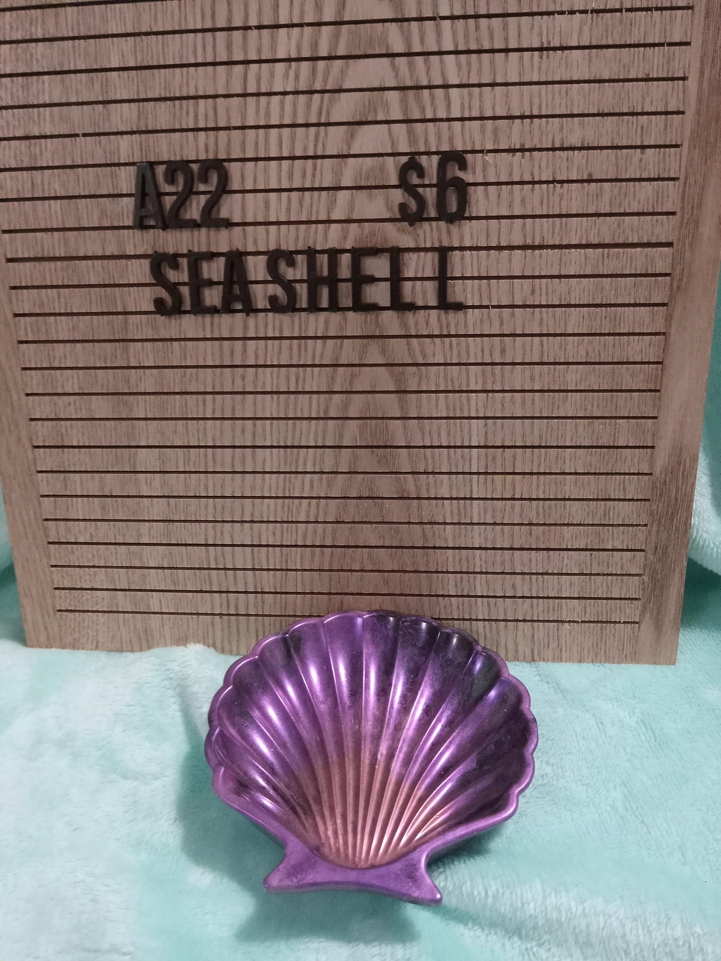 Resin Seashell Soap Dish